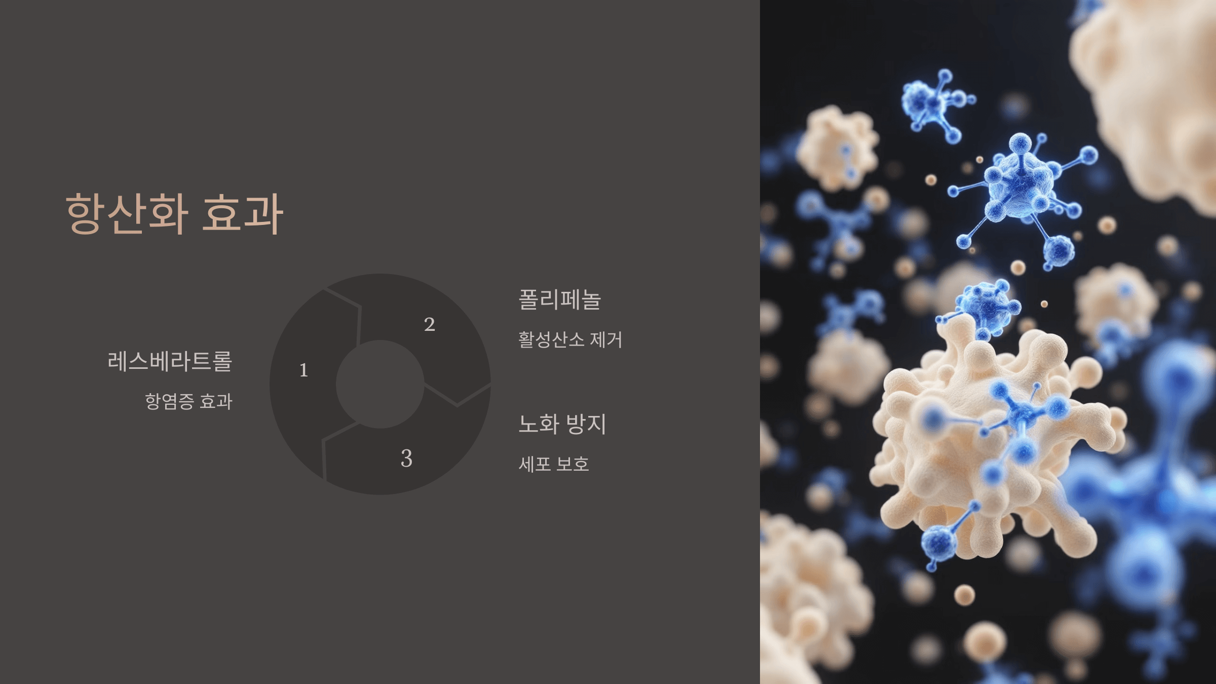 땅콩 사진입니다.