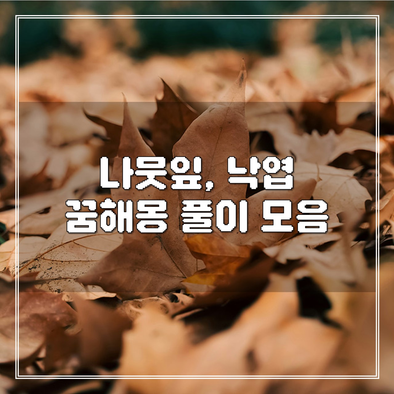 나뭇잎, 낙엽 꿈, 꿈해몽 풀이 모음 썸네일
