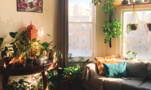 집에 바퀴벌레 있는지 없는지 확인하는 방법 (바퀴벌레 종류)