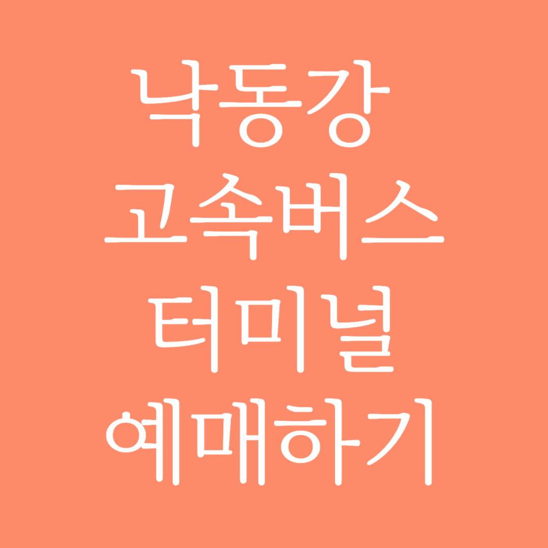 낙동강 고속버스터미널 시간표 조회 및 예매하기