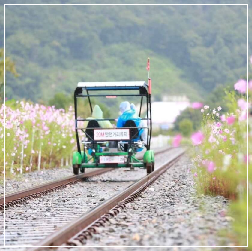 하동 가볼만한곳 베스트10 하동 레일파크