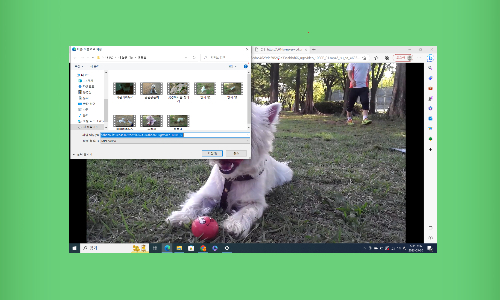 네이버 블로그 동영상 다운로드