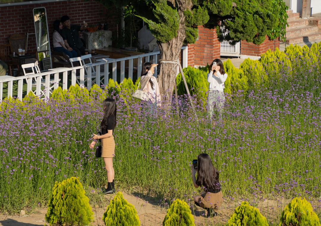 수원 팔달산 행궁광장