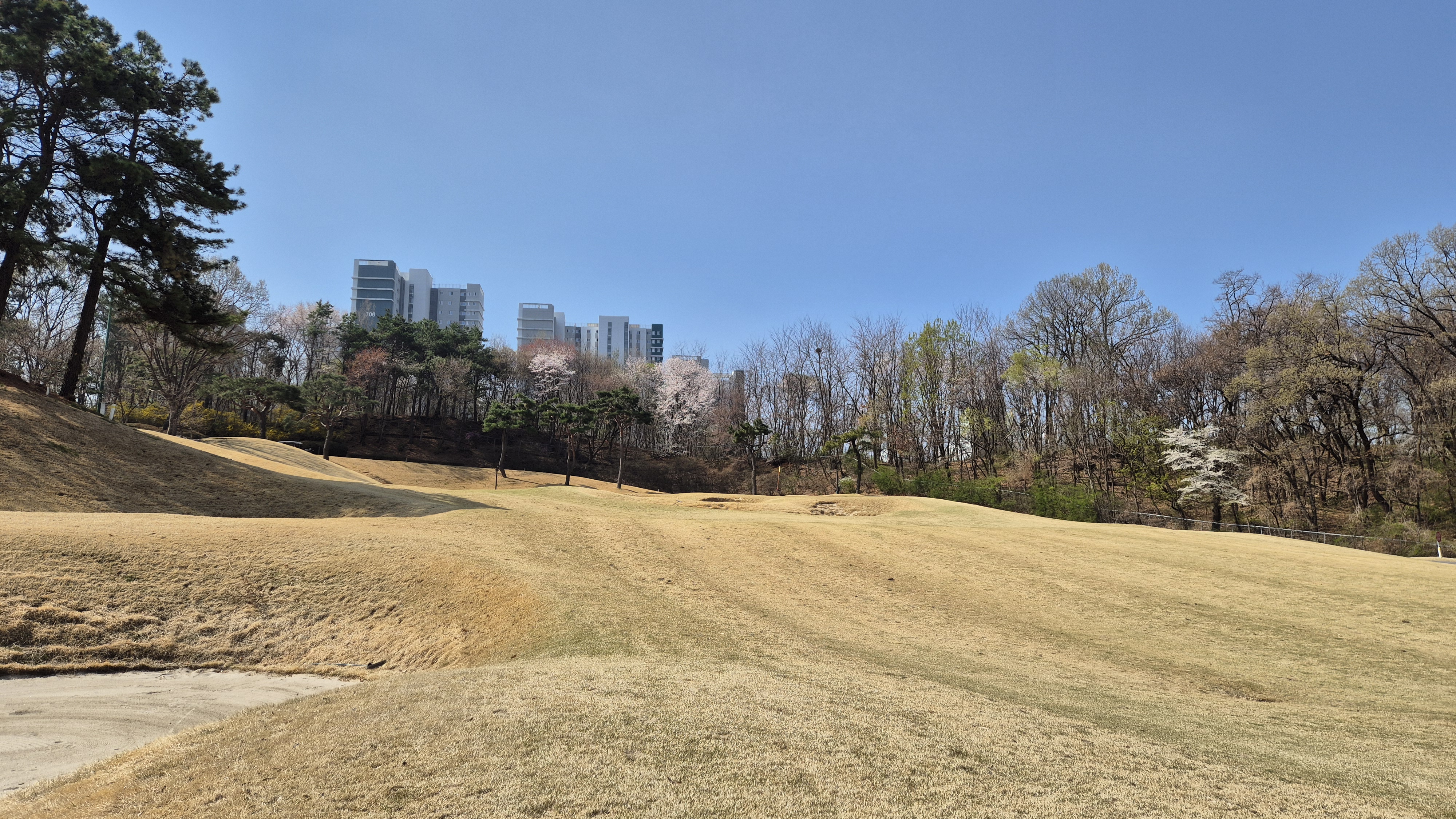 캐슬렉스cc
