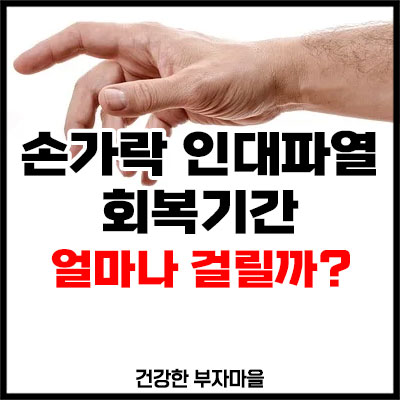 손가락 인대파열 회복기간