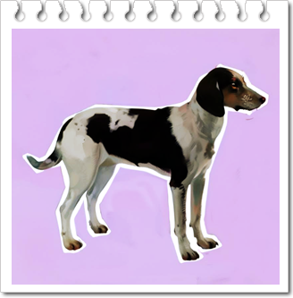 안녕soni