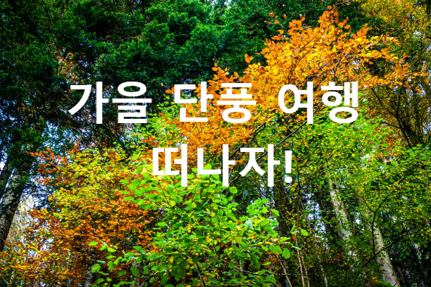 가을 여행! 100개 축제 스탬프 투어