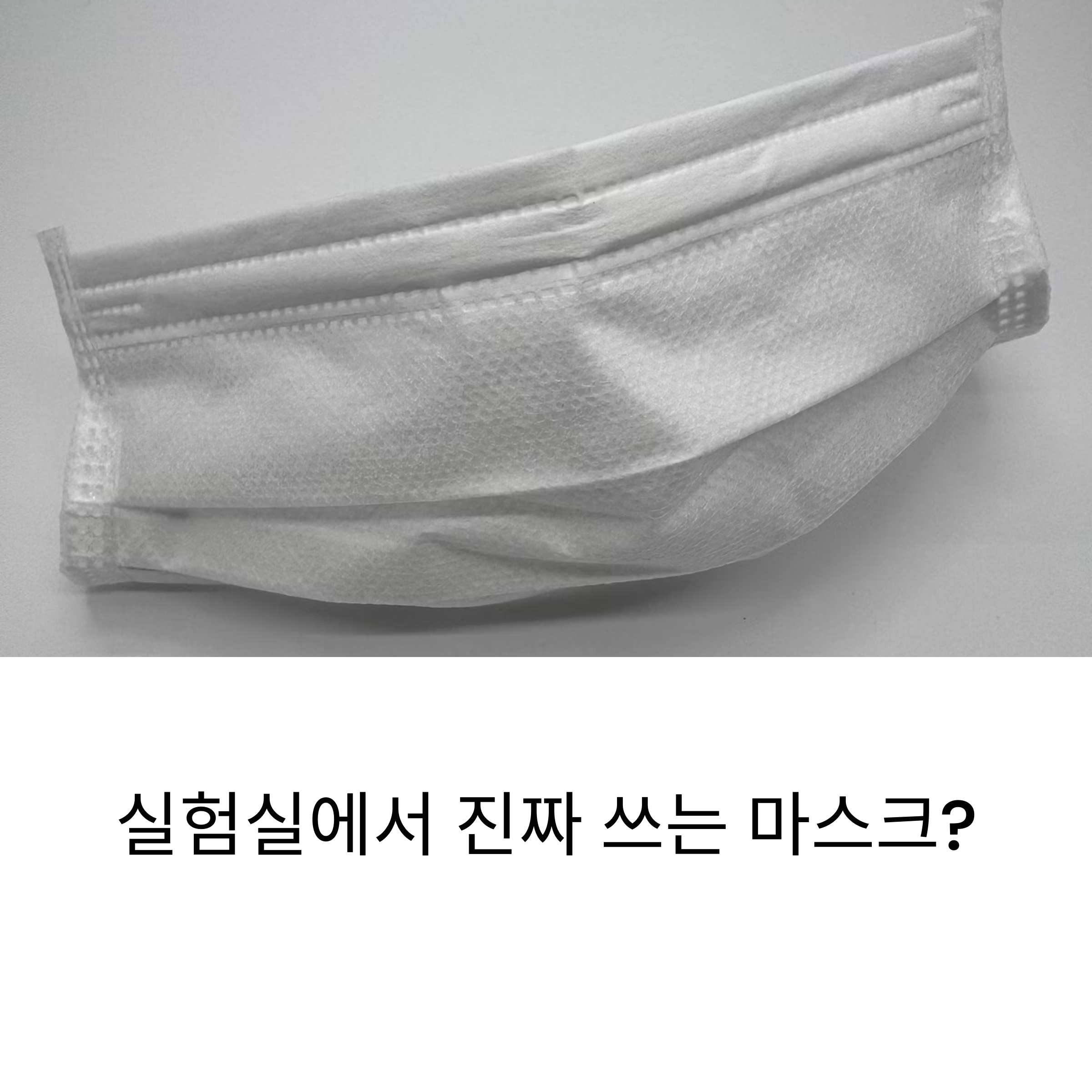 마스크 실물사진
