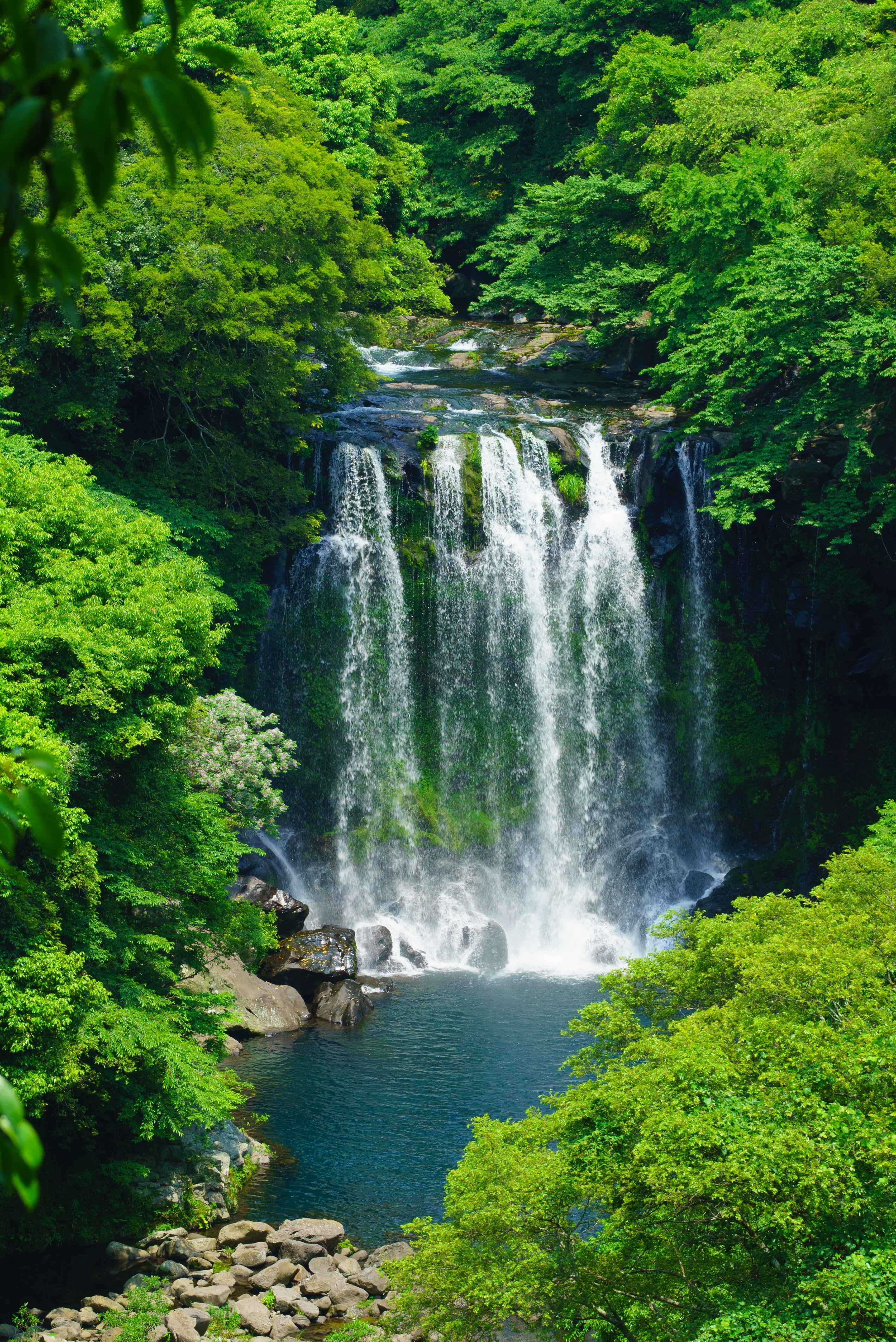 제주도 천제연 폭포 사진