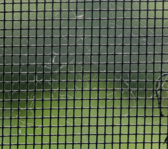 방충망 교체비용, 방충망 셀프교체, 아파트 방충망 교체비용, 방충망 교체방법, 방충망 설치, 방충망 가격, 미세 방충망 가격, 현관 방충망 설치 가격, 베란다 방충망 교체비용, 롤 방충망 가격, 롤 방충망 교체, 방충망 문, 창문 방충망 교체, 창문 방충망 비용, 창문 방충망 설치팁, 방충망 교체비용, 방충망 셀프교체, 아파트 방충망 교체비용, 방충망 교체방법, 방충망 설치, 방충망 가격, 미세 방충망 가격, 현관 방충망 설치 가격, 베란다 방충망 교체비용, 롤 방충망 가격, 롤 방충망 교체, 방충망 문, 창문 방충망 교체, 창문 방충망 비용, 창문 방충망 설치팁, 방충망 교체비용, 방충망 셀프교체, 아파트 방충망 교체비용, 방충망 교체방법, 방충망 설치, 방충망 가격, 미세 방충망 가격, 현관 방충망 설치 가격, 베란다 방충망 교체비용, 롤 방충망 가격, 롤 방충망 교체, 방충망 문, 창문 방충망 교체, 창문 방충망 비용, 창문 방충망 설치팁, 방충망 교체비용, 방충망 셀프교체, 아파트 방충망 교체비용, 방충망 교체방법, 방충망 설치, 방충망 가격, 미세 방충망 가격, 현관 방충망 설치 가격, 베란다 방충망 교체비용, 롤 방충망 가격, 롤 방충망 교체, 방충망 문, 창문 방충망 교체, 창문 방충망 비용, 창문 방충망 설치팁, 방충망 교체비용, 방충망 셀프교체, 아파트 방충망 교체비용, 방충망 교체방법, 방충망 설치, 방충망 가격, 미세 방충망 가격, 현관 방충망 설치 가격, 베란다 방충망 교체비용, 롤 방충망 가격, 롤 방충망 교체, 방충망 문, 창문 방충망 교체, 창문 방충망 비용, 창문 방충망 설치팁, 방충망 교체비용, 방충망 셀프교체, 아파트 방충망 교체비용, 방충망 교체방법, 방충망 설치, 방충망 가격, 미세 방충망 가격, 현관 방충망 설치 가격, 베란다 방충망 교체비용, 롤 방충망 가격, 롤 방충망 교체, 방충망 문, 창문 방충망 교체, 창문 방충망 비용, 창문 방충망 설치팁, 방충망 교체비용, 방충망 셀프교체, 아파트 방충망 교체비용, 방충망 교체방법, 방충망 설치, 방충망 가격, 미세 방충망 가격, 현관 방충망 설치 가격, 베란다 방충망 교체비용, 롤 방충망 가격, 롤 방충망 교체, 방충망 문, 창문 방충망 교체, 창문 방충망 비용, 창문 방충망 설치팁, 방충망 교체비용, 방충망 셀프교체, 아파트 방충망 교체비용, 방충망 교체방법, 방충망 설치, 방충망 가격, 미세 방충망 가격, 현관 방충망 설치 가격, 베란다 방충망 교체비용, 롤 방충망 가격, 롤 방충망 교체, 방충망 문, 창문 방충망 교체, 창문 방충망 비용, 창문 방충망 설치팁, 방충망 교체비용, 방충망 셀프교체, 아파트 방충망 교체비용, 방충망 교체방법, 방충망 설치, 방충망 가격, 미세 방충망 가격, 현관 방충망 설치 가격, 베란다 방충망 교체비용, 롤 방충망 가격, 롤 방충망 교체, 방충망 문, 창문 방충망 교체, 창문 방충망 비용, 창문 방충망 설치팁, 방충망 교체비용, 방충망 셀프교체, 아파트 방충망 교체비용, 방충망 교체방법, 방충망 설치, 방충망 가격, 미세 방충망 가격, 현관 방충망 설치 가격, 베란다 방충망 교체비용, 롤 방충망 가격, 롤 방충망 교체, 방충망 문, 창문 방충망 교체, 창문 방충망 비용, 창문 방충망 설치팁, 방충망 교체비용, 방충망 셀프교체, 아파트 방충망 교체비용, 방충망 교체방법, 방충망 설치, 방충망 가격, 미세 방충망 가격, 현관 방충망 설치 가격, 베란다 방충망 교체비용, 롤 방충망 가격, 롤 방충망 교체, 방충망 문, 창문 방충망 교체, 창문 방충망 비용, 창문 방충망 설치팁, 방충망 교체비용, 방충망 셀프교체, 아파트 방충망 교체비용, 방충망 교체방법, 방충망 설치, 방충망 가격, 미세 방충망 가격, 현관 방충망 설치 가격, 베란다 방충망 교체비용, 롤 방충망 가격, 롤 방충망 교체, 방충망 문, 창문 방충망 교체, 창문 방충망 비용, 창문 방충망 설치팁, 방충망 교체비용, 방충망 셀프교체, 아파트 방충망 교체비용, 방충망 교체방법, 방충망 설치, 방충망 가격, 미세 방충망 가격, 현관 방충망 설치 가격, 베란다 방충망 교체비용, 롤 방충망 가격, 롤 방충망 교체, 방충망 문, 창문 방충망 교체, 창문 방충망 비용, 창문 방충망 설치팁, 방충망 교체비용, 방충망 셀프교체, 아파트 방충망 교체비용, 방충망 교체방법, 방충망 설치, 방충망 가격, 미세 방충망 가격, 현관 방충망 설치 가격, 베란다 방충망 교체비용, 롤 방충망 가격, 롤 방충망 교체, 방충망 문, 창문 방충망 교체, 창문 방충망 비용, 창문 방충망 설치팁, 방충망 교체비용, 방충망 셀프교체, 아파트 방충망 교체비용, 방충망 교체방법, 방충망 설치, 방충망 가격, 미세 방충망 가격, 현관 방충망 설치 가격, 베란다 방충망 교체비용, 롤 방충망 가격, 롤 방충망 교체, 방충망 문, 창문 방충망 교체, 창문 방충망 비용, 창문 방충망 설치팁, 방충망 교체비용, 방충망 셀프교체, 아파트 방충망 교체비용, 방충망 교체방법, 방충망 설치, 방충망 가격, 미세 방충망 가격, 현관 방충망 설치 가격, 베란다 방충망 교체비용, 롤 방충망 가격, 롤 방충망 교체, 방충망 문, 창문 방충망 교체, 창문 방충망 비용, 창문 방충망 설치팁, 방충망 교체비용, 방충망 셀프교체, 아파트 방충망 교체비용, 방충망 교체방법, 방충망 설치, 방충망 가격, 미세 방충망 가격, 현관 방충망 설치 가격, 베란다 방충망 교체비용, 롤 방충망 가격, 롤 방충망 교체, 방충망 문, 창문 방충망 교체, 창문 방충망 비용, 창문 방충망 설치팁, 방충망 교체비용, 방충망 셀프교체, 아파트 방충망 교체비용, 방충망 교체방법, 방충망 설치, 방충망 가격, 미세 방충망 가격, 현관 방충망 설치 가격, 베란다 방충망 교체비용, 롤 방충망 가격, 롤 방충망 교체, 방충망 문, 창문 방충망 교체, 창문 방충망 비용, 창문 방충망 설치팁, 방충망 교체비용, 방충망 셀프교체, 아파트 방충망 교체비용, 방충망 교체방법, 방충망 설치, 방충망 가격, 미세 방충망 가격, 현관 방충망 설치 가격, 베란다 방충망 교체비용, 롤 방충망 가격, 롤 방충망 교체, 방충망 문, 창문 방충망 교체, 창문 방충망 비용, 창문 방충망 설치팁, 방충망 교체비용, 방충망 셀프교체, 아파트 방충망 교체비용, 방충망 교체방법, 방충망 설치, 방충망 가격, 미세 방충망 가격, 현관 방충망 설치 가격, 베란다 방충망 교체비용, 롤 방충망 가격, 롤 방충망 교체, 방충망 문, 창문 방충망 교체, 창문 방충망 비용, 창문 방충망 설치팁, 방충망 교체비용, 방충망 셀프교체, 아파트 방충망 교체비용, 방충망 교체방법, 방충망 설치, 방충망 가격, 미세 방충망 가격, 현관 방충망 설치 가격, 베란다 방충망 교체비용, 롤 방충망 가격, 롤 방충망 교체, 방충망 문, 창문 방충망 교체, 창문 방충망 비용, 창문 방충망 설치팁, 방충망 교체비용, 방충망 셀프교체, 아파트 방충망 교체비용, 방충망 교체방법, 방충망 설치, 방충망 가격, 미세 방충망 가격, 현관 방충망 설치 가격, 베란다 방충망 교체비용, 롤 방충망 가격, 롤 방충망 교체, 방충망 문, 창문 방충망 교체, 창문 방충망 비용, 창문 방충망 설치팁, 방충망 교체비용, 방충망 셀프교체, 아파트 방충망 교체비용, 방충망 교체방법, 방충망 설치, 방충망 가격, 미세 방충망 가격, 현관 방충망 설치 가격, 베란다 방충망 교체비용, 롤 방충망 가격, 롤 방충망 교체, 방충망 문, 창문 방충망 교체, 창문 방충망 비용, 창문 방충망 설치팁, 방충망 교체비용, 방충망 셀프교체, 아파트 방충망 교체비용, 방충망 교체방법, 방충망 설치, 방충망 가격, 미세 방충망 가격, 현관 방충망 설치 가격, 베란다 방충망 교체비용, 롤 방충망 가격, 롤 방충망 교체, 방충망 문, 창문 방충망 교체, 창문 방충망 비용, 창문 방충망 설치팁, 방충망 교체비용, 방충망 셀프교체, 아파트 방충망 교체비용, 방충망 교체방법, 방충망 설치, 방충망 가격, 미세 방충망 가격, 현관 방충망 설치 가격, 베란다 방충망 교체비용, 롤 방충망 가격, 롤 방충망 교체, 방충망 문, 창문 방충망 교체, 창문 방충망 비용, 창문 방충망 설치팁, 방충망 교체비용, 방충망 셀프교체, 아파트 방충망 교체비용, 방충망 교체방법, 방충망 설치, 방충망 가격, 미세 방충망 가격, 현관 방충망 설치 가격, 베란다 방충망 교체비용, 롤 방충망 가격, 롤 방충망 교체, 방충망 문, 창문 방충망 교체, 창문 방충망 비용, 창문 방충망 설치팁, 방충망 교체비용, 방충망 셀프교체, 아파트 방충망 교체비용, 방충망 교체방법, 방충망 설치, 방충망 가격, 미세 방충망 가격, 현관 방충망 설치 가격, 베란다 방충망 교체비용, 롤 방충망 가격, 롤 방충망 교체, 방충망 문, 창문 방충망 교체, 창문 방충망 비용, 창문 방충망 설치팁, 방충망 교체비용, 방충망 셀프교체, 아파트 방충망 교체비용, 방충망 교체방법, 방충망 설치, 방충망 가격, 미세 방충망 가격, 현관 방충망 설치 가격, 베란다 방충망 교체비용, 롤 방충망 가격, 롤 방충망 교체, 방충망 문, 창문 방충망 교체, 창문 방충망 비용, 창문 방충망 설치팁, 방충망 교체비용, 방충망 셀프교체, 아파트 방충망 교체비용, 방충망 교체방법, 방충망 설치, 방충망 가격, 미세 방충망 가격, 현관 방충망 설치 가격, 베란다 방충망 교체비용, 롤 방충망 가격, 롤 방충망 교체, 방충망 문, 창문 방충망 교체, 창문 방충망 비용, 창문 방충망 설치팁, 방충망 교체비용, 방충망 셀프교체, 아파트 방충망 교체비용, 방충망 교체방법, 방충망 설치, 방충망 가격, 미세 방충망 가격, 현관 방충망 설치 가격, 베란다 방충망 교체비용, 롤 방충망 가격, 롤 방충망 교체, 방충망 문, 창문 방충망 교체, 창문 방충망 비용, 창문 방충망 설치팁, 방충망 교체비용, 방충망 셀프교체, 아파트 방충망 교체비용, 방충망 교체방법, 방충망 설치, 방충망 가격, 미세 방충망 가격, 현관 방충망 설치 가격, 베란다 방충망 교체비용, 롤 방충망 가격, 롤 방충망 교체, 방충망 문, 창문 방충망 교체, 창문 방충망 비용, 창문 방충망 설치팁, 방충망 교체비용, 방충망 셀프교체, 아파트 방충망 교체비용, 방충망 교체방법, 방충망 설치, 방충망 가격, 미세 방충망 가격, 현관 방충망 설치 가격, 베란다 방충망 교체비용, 롤 방충망 가격, 롤 방충망 교체, 방충망 문, 창문 방충망 교체, 창문 방충망 비용, 창문 방충망 설치팁, 방충망 교체비용, 방충망 셀프교체, 아파트 방충망 교체비용, 방충망 교체방법, 방충망 설치, 방충망 가격, 미세 방충망 가격, 현관 방충망 설치 가격, 베란다 방충망 교체비용, 롤 방충망 가격, 롤 방충망 교체, 방충망 문, 창문 방충망 교체, 창문 방충망 비용, 창문 방충망 설치팁, 방충망 교체비용, 방충망 셀프교체, 아파트 방충망 교체비용, 방충망 교체방법, 방충망 설치, 방충망 가격, 미세 방충망 가격, 현관 방충망 설치 가격, 베란다 방충망 교체비용, 롤 방충망 가격, 롤 방충망 교체, 방충망 문, 창문 방충망 교체, 창문 방충망 비용, 창문 방충망 설치팁, 방충망 교체비용, 방충망 셀프교체, 아파트 방충망 교체비용, 방충망 교체방법, 방충망 설치, 방충망 가격, 미세 방충망 가격, 현관 방충망 설치 가격, 베란다 방충망 교체비용, 롤 방충망 가격, 롤 방충망 교체, 방충망 문, 창문 방충망 교체, 창문 방충망 비용, 창문 방충망 설치팁, 방충망 교체비용, 방충망 셀프교체, 아파트 방충망 교체비용, 방충망 교체방법, 방충망 설치, 방충망 가격, 미세 방충망 가격, 현관 방충망 설치 가격, 베란다 방충망 교체비용, 롤 방충망 가격, 롤 방충망 교체, 방충망 문, 창문 방충망 교체, 창문 방충망 비용, 창문 방충망 설치팁, 방충망 교체비용, 방충망 셀프교체, 아파트 방충망 교체비용, 방충망 교체방법, 방충망 설치, 방충망 가격, 미세 방충망 가격, 현관 방충망 설치 가격, 베란다 방충망 교체비용, 롤 방충망 가격, 롤 방충망 교체, 방충망 문, 창문 방충망 교체, 창문 방충망 비용, 창문 방충망 설치팁, 방충망 교체비용, 방충망 셀프교체, 아파트 방충망 교체비용, 방충망 교체방법, 방충망 설치, 방충망 가격, 미세 방충망 가격, 현관 방충망 설치 가격, 베란다 방충망 교체비용, 롤 방충망 가격, 롤 방충망 교체, 방충망 문, 창문 방충망 교체, 창문 방충망 비용, 창문 방충망 설치팁, 방충망 교체비용, 방충망 셀프교체, 아파트 방충망 교체비용, 방충망 교체방법, 방충망 설치, 방충망 가격, 미세 방충망 가격, 현관 방충망 설치 가격, 베란다 방충망 교체비용, 롤 방충망 가격, 롤 방충망 교체, 방충망 문, 창문 방충망 교체, 창문 방충망 비용, 창문 방충망 설치팁, 방충망 교체비용, 방충망 셀프교체, 아파트 방충망 교체비용, 방충망 교체방법, 방충망 설치, 방충망 가격, 미세 방충망 가격, 현관 방충망 설치 가격, 베란다 방충망 교체비용, 롤 방충망 가격, 롤 방충망 교체, 방충망 문, 창문 방충망 교체, 창문 방충망 비용, 창문 방충망 설치팁, 방충망 교체비용, 방충망 셀프교체, 아파트 방충망 교체비용, 방충망 교체방법, 방충망 설치, 방충망 가격, 미세 방충망 가격, 현관 방충망 설치 가격, 베란다 방충망 교체비용, 롤 방충망 가격, 롤 방충망 교체, 방충망 문, 창문 방충망 교체, 창문 방충망 비용, 창문 방충망 설치팁, 방충망 교체비용, 방충망 셀프교체, 아파트 방충망 교체비용, 방충망 교체방법, 방충망 설치, 방충망 가격, 미세 방충망 가격, 현관 방충망 설치 가격, 베란다 방충망 교체비용, 롤 방충망 가격, 롤 방충망 교체, 방충망 문, 창문 방충망 교체, 창문 방충망 비용, 창문 방충망 설치팁, 방충망 교체비용, 방충망 셀프교체, 아파트 방충망 교체비용, 방충망 교체방법, 방충망 설치, 방충망 가격, 미세 방충망 가격, 현관 방충망 설치 가격, 베란다 방충망 교체비용, 롤 방충망 가격, 롤 방충망 교체, 방충망 문, 창문 방충망 교체, 창문 방충망 비용, 창문 방충망 설치팁, 방충망 교체비용, 방충망 셀프교체, 아파트 방충망 교체비용, 방충망 교체방법, 방충망 설치, 방충망 가격, 미세 방충망 가격, 현관 방충망 설치 가격, 베란다 방충망 교체비용, 롤 방충망 가격, 롤 방충망 교체, 방충망 문, 창문 방충망 교체, 창문 방충망 비용, 창문 방충망 설치팁, 방충망 교체비용, 방충망 셀프교체, 아파트 방충망 교체비용, 방충망 교체방법, 방충망 설치, 방충망 가격, 미세 방충망 가격, 현관 방충망 설치 가격, 베란다 방충망 교체비용, 롤 방충망 가격, 롤 방충망 교체, 방충망 문, 창문 방충망 교체, 창문 방충망 비용, 창문 방충망 설치팁, 방충망 교체비용, 방충망 셀프교체, 아파트 방충망 교체비용, 방충망 교체방법, 방충망 설치, 방충망 가격, 미세 방충망 가격, 현관 방충망 설치 가격, 베란다 방충망 교체비용, 롤 방충망 가격, 롤 방충망 교체, 방충망 문, 창문 방충망 교체, 창문 방충망 비용, 창문 방충망 설치팁, 방충망 교체비용, 방충망 셀프교체, 아파트 방충망 교체비용, 방충망 교체방법, 방충망 설치, 방충망 가격, 미세 방충망 가격, 현관 방충망 설치 가격, 베란다 방충망 교체비용, 롤 방충망 가격, 롤 방충망 교체, 방충망 문, 창문 방충망 교체, 창문 방충망 비용, 창문 방충망 설치팁, 방충망 교체비용, 방충망 셀프교체, 아파트 방충망 교체비용, 방충망 교체방법, 방충망 설치, 방충망 가격, 미세 방충망 가격, 현관 방충망 설치 가격, 베란다 방충망 교체비용, 롤 방충망 가격, 롤 방충망 교체, 방충망 문, 창문 방충망 교체, 창문 방충망 비용, 창문 방충망 설치팁, 방충망 교체비용, 방충망 셀프교체, 아파트 방충망 교체비용, 방충망 교체방법, 방충망 설치, 방충망 가격, 미세 방충망 가격, 현관 방충망 설치 가격, 베란다 방충망 교체비용, 롤 방충망 가격, 롤 방충망 교체, 방충망 문, 창문 방충망 교체, 창문 방충망 비용, 창문 방충망 설치팁, 방충망 교체비용, 방충망 셀프교체, 아파트 방충망 교체비용, 방충망 교체방법, 방충망 설치, 방충망 가격, 미세 방충망 가격, 현관 방충망 설치 가격, 베란다 방충망 교체비용, 롤 방충망 가격, 롤 방충망 교체, 방충망 문, 창문 방충망 교체, 창문 방충망 비용, 창문 방충망 설치팁, 방충망 교체비용, 방충망 셀프교체, 아파트 방충망 교체비용, 방충망 교체방법, 방충망 설치, 방충망 가격, 미세 방충망 가격, 현관 방충망 설치 가격, 베란다 방충망 교체비용, 롤 방충망 가격, 롤 방충망 교체, 방충망 문, 창문 방충망 교체, 창문 방충망 비용, 창문 방충망 설치팁, 방충망 교체비용, 방충망 셀프교체, 아파트 방충망 교체비용, 방충망 교체방법, 방충망 설치, 방충망 가격, 미세 방충망 가격, 현관 방충망 설치 가격, 베란다 방충망 교체비용, 롤 방충망 가격, 롤 방충망 교체, 방충망 문, 창문 방충망 교체, 창문 방충망 비용, 창문 방충망 설치팁, 방충망 교체비용, 방충망 셀프교체, 아파트 방충망 교체비용, 방충망 교체방법, 방충망 설치, 방충망 가격, 미세 방충망 가격, 현관 방충망 설치 가격, 베란다 방충망 교체비용, 롤 방충망 가격, 롤 방충망 교체, 방충망 문, 창문 방충망 교체, 창문 방충망 비용, 창문 방충망 설치팁, 방충망 교체비용, 방충망 셀프교체, 아파트 방충망 교체비용, 방충망 교체방법, 방충망 설치, 방충망 가격, 미세 방충망 가격, 현관 방충망 설치 가격, 베란다 방충망 교체비용, 롤 방충망 가격, 롤 방충망 교체, 방충망 문, 창문 방충망 교체, 창문 방충망 비용, 창문 방충망 설치팁, 방충망 교체비용, 방충망 셀프교체, 아파트 방충망 교체비용, 방충망 교체방법, 방충망 설치, 방충망 가격, 미세 방충망 가격, 현관 방충망 설치 가격, 베란다 방충망 교체비용, 롤 방충망 가격, 롤 방충망 교체, 방충망 문, 창문 방충망 교체, 창문 방충망 비용, 창문 방충망 설치팁, 방충망 교체비용, 방충망 셀프교체, 아파트 방충망 교체비용, 방충망 교체방법, 방충망 설치, 방충망 가격, 미세 방충망 가격, 현관 방충망 설치 가격, 베란다 방충망 교체비용, 롤 방충망 가격, 롤 방충망 교체, 방충망 문, 창문 방충망 교체, 창문 방충망 비용, 창문 방충망 설치팁, 방충망 교체비용, 방충망 셀프교체, 아파트 방충망 교체비용, 방충망 교체방법, 방충망 설치, 방충망 가격, 미세 방충망 가격, 현관 방충망 설치 가격, 베란다 방충망 교체비용, 롤 방충망 가격, 롤 방충망 교체, 방충망 문, 창문 방충망 교체, 창문 방충망 비용, 창문 방충망 설치팁, 방충망 교체비용, 방충망 셀프교체, 아파트 방충망 교체비용, 방충망 교체방법, 방충망 설치, 방충망 가격, 미세 방충망 가격, 현관 방충망 설치 가격, 베란다 방충망 교체비용, 롤 방충망 가격, 롤 방충망 교체, 방충망 문, 창문 방충망 교체, 창문 방충망 비용, 창문 방충망 설치팁, 방충망 교체비용, 방충망 셀프교체, 아파트 방충망 교체비용, 방충망 교체방법, 방충망 설치, 방충망 가격, 미세 방충망 가격, 현관 방충망 설치 가격, 베란다 방충망 교체비용, 롤 방충망 가격, 롤 방충망 교체, 방충망 문, 창문 방충망 교체, 창문 방충망 비용, 창문 방충망 설치팁, 방충망 교체비용, 방충망 셀프교체, 아파트 방충망 교체비용, 방충망 교체방법, 방충망 설치, 방충망 가격, 미세 방충망 가격, 현관 방충망 설치 가격, 베란다 방충망 교체비용, 롤 방충망 가격, 롤 방충망 교체, 방충망 문, 창문 방충망 교체, 창문 방충망 비용, 창문 방충망 설치팁, 방충망 교체비용, 방충망 셀프교체, 아파트 방충망 교체비용, 방충망 교체방법, 방충망 설치, 방충망 가격, 미세 방충망 가격, 현관 방충망 설치 가격, 베란다 방충망 교체비용, 롤 방충망 가격, 롤 방충망 교체, 방충망 문, 창문 방충망 교체, 창문 방충망 비용, 창문 방충망 설치팁, 방충망 교체비용, 방충망 셀프교체, 아파트 방충망 교체비용, 방충망 교체방법, 방충망 설치, 방충망 가격, 미세 방충망 가격, 현관 방충망 설치 가격, 베란다 방충망 교체비용, 롤 방충망 가격, 롤 방충망 교체, 방충망 문, 창문 방충망 교체, 창문 방충망 비용, 창문 방충망 설치팁, 방충망 교체비용, 방충망 셀프교체, 아파트 방충망 교체비용, 방충망 교체방법, 방충망 설치, 방충망 가격, 미세 방충망 가격, 현관 방충망 설치 가격, 베란다 방충망 교체비용, 롤 방충망 가격, 롤 방충망 교체, 방충망 문, 창문 방충망 교체, 창문 방충망 비용, 창문 방충망 설치팁, 방충망 교체비용, 방충망 셀프교체, 아파트 방충망 교체비용, 방충망 교체방법, 방충망 설치, 방충망 가격, 미세 방충망 가격, 현관 방충망 설치 가격, 베란다 방충망 교체비용, 롤 방충망 가격, 롤 방충망 교체, 방충망 문, 창문 방충망 교체, 창문 방충망 비용, 창문 방충망 설치팁, 방충망 교체비용, 방충망 셀프교체, 아파트 방충망 교체비용, 방충망 교체방법, 방충망 설치, 방충망 가격, 미세 방충망 가격, 현관 방충망 설치 가격, 베란다 방충망 교체비용, 롤 방충망 가격, 롤 방충망 교체, 방충망 문, 창문 방충망 교체, 창문 방충망 비용, 창문 방충망 설치팁, 방충망 교체비용, 방충망 셀프교체, 아파트 방충망 교체비용, 방충망 교체방법, 방충망 설치, 방충망 가격, 미세 방충망 가격, 현관 방충망 설치 가격, 베란다 방충망 교체비용, 롤 방충망 가격, 롤 방충망 교체, 방충망 문, 창문 방충망 교체, 창문 방충망 비용, 창문 방충망 설치팁, 방충망 교체비용, 방충망 셀프교체, 아파트 방충망 교체비용, 방충망 교체방법, 방충망 설치, 방충망 가격, 미세 방충망 가격, 현관 방충망 설치 가격, 베란다 방충망 교체비용, 롤 방충망 가격, 롤 방충망 교체, 방충망 문, 창문 방충망 교체, 창문 방충망 비용, 창문 방충망 설치팁, 방충망 교체비용, 방충망 셀프교체, 아파트 방충망 교체비용, 방충망 교체방법, 방충망 설치, 방충망 가격, 미세 방충망 가격, 현관 방충망 설치 가격, 베란다 방충망 교체비용, 롤 방충망 가격, 롤 방충망 교체, 방충망 문, 창문 방충망 교체, 창문 방충망 비용, 창문 방충망 설치팁, 방충망 교체비용, 방충망 셀프교체, 아파트 방충망 교체비용, 방충망 교체방법, 방충망 설치, 방충망 가격, 미세 방충망 가격, 현관 방충망 설치 가격, 베란다 방충망 교체비용, 롤 방충망 가격, 롤 방충망 교체, 방충망 문, 창문 방충망 교체, 창문 방충망 비용, 창문 방충망 설치팁, 방충망 교체비용, 방충망 셀프교체, 아파트 방충망 교체비용, 방충망 교체방법, 방충망 설치, 방충망 가격, 미세 방충망 가격, 현관 방충망 설치 가격, 베란다 방충망 교체비용, 롤 방충망 가격, 롤 방충망 교체, 방충망 문, 창문 방충망 교체, 창문 방충망 비용, 창문 방충망 설치팁, 방충망 교체비용, 방충망 셀프교체, 아파트 방충망 교체비용, 방충망 교체방법, 방충망 설치, 방충망 가격, 미세 방충망 가격, 현관 방충망 설치 가격, 베란다 방충망 교체비용, 롤 방충망 가격, 롤 방충망 교체, 방충망 문, 창문 방충망 교체, 창문 방충망 비용, 창문 방충망 설치팁, 방충망 교체비용, 방충망 셀프교체, 아파트 방충망 교체비용, 방충망 교체방법, 방충망 설치, 방충망 가격, 미세 방충망 가격, 현관 방충망 설치 가격, 베란다 방충망 교체비용, 롤 방충망 가격, 롤 방충망 교체, 방충망 문, 창문 방충망 교체, 창문 방충망 비용, 창문 방충망 설치팁, 방충망 교체비용, 방충망 셀프교체, 아파트 방충망 교체비용, 방충망 교체방법, 방충망 설치, 방충망 가격, 미세 방충망 가격, 현관 방충망 설치 가격, 베란다 방충망 교체비용, 롤 방충망 가격, 롤 방충망 교체, 방충망 문, 창문 방충망 교체, 창문 방충망 비용, 창문 방충망 설치팁, 방충망 교체비용, 방충망 셀프교체, 아파트 방충망 교체비용, 방충망 교체방법, 방충망 설치, 방충망 가격, 미세 방충망 가격, 현관 방충망 설치 가격, 베란다 방충망 교체비용, 롤 방충망 가격, 롤 방충망 교체, 방충망 문, 창문 방충망 교체, 창문 방충망 비용, 창문 방충망 설치팁, 방충망 교체비용, 방충망 셀프교체, 아파트 방충망 교체비용, 방충망 교체방법, 방충망 설치, 방충망 가격, 미세 방충망 가격, 현관 방충망 설치 가격, 베란다 방충망 교체비용, 롤 방충망 가격, 롤 방충망 교체, 방충망 문, 창문 방충망 교체, 창문 방충망 비용, 창문 방충망 설치팁, 방충망 교체비용, 방충망 셀프교체, 아파트 방충망 교체비용, 방충망 교체방법, 방충망 설치, 방충망 가격, 미세 방충망 가격, 현관 방충망 설치 가격, 베란다 방충망 교체비용, 롤 방충망 가격, 롤 방충망 교체, 방충망 문, 창문 방충망 교체, 창문 방충망 비용, 창문 방충망 설치팁, 방충망 교체비용, 방충망 셀프교체, 아파트 방충망 교체비용, 방충망 교체방법, 방충망 설치, 방충망 가격, 미세 방충망 가격, 현관 방충망 설치 가격, 베란다 방충망 교체비용, 롤 방충망 가격, 롤 방충망 교체, 방충망 문, 창문 방충망 교체, 창문 방충망 비용, 창문 방충망 설치팁, 방충망 교체비용, 방충망 셀프교체, 아파트 방충망 교체비용, 방충망 교체방법, 방충망 설치, 방충망 가격, 미세 방충망 가격, 현관 방충망 설치 가격, 베란다 방충망 교체비용, 롤 방충망 가격, 롤 방충망 교체, 방충망 문, 창문 방충망 교체, 창문 방충망 비용, 창문 방충망 설치팁, 방충망 교체비용, 방충망 셀프교체, 아파트 방충망 교체비용, 방충망 교체방법, 방충망 설치, 방충망 가격, 미세 방충망 가격, 현관 방충망 설치 가격, 베란다 방충망 교체비용, 롤 방충망 가격, 롤 방충망 교체, 방충망 문, 창문 방충망 교체, 창문 방충망 비용, 창문 방충망 설치팁, 방충망 교체비용, 방충망 셀프교체, 아파트 방충망 교체비용, 방충망 교체방법, 방충망 설치, 방충망 가격, 미세 방충망 가격, 현관 방충망 설치 가격, 베란다 방충망 교체비용, 롤 방충망 가격, 롤 방충망 교체, 방충망 문, 창문 방충망 교체, 창문 방충망 비용, 창문 방충망 설치팁, 방충망 교체비용, 방충망 셀프교체, 아파트 방충망 교체비용, 방충망 교체방법, 방충망 설치, 방충망 가격, 미세 방충망 가격, 현관 방충망 설치 가격, 베란다 방충망 교체비용, 롤 방충망 가격, 롤 방충망 교체, 방충망 문, 창문 방충망 교체, 창문 방충망 비용, 창문 방충망 설치팁, 방충망 교체비용, 방충망 셀프교체, 아파트 방충망 교체비용, 방충망 교체방법, 방충망 설치, 방충망 가격, 미세 방충망 가격, 현관 방충망 설치 가격, 베란다 방충망 교체비용, 롤 방충망 가격, 롤 방충망 교체, 방충망 문, 창문 방충망 교체, 창문 방충망 비용, 창문 방충망 설치팁, 방충망 교체비용, 방충망 셀프교체, 아파트 방충망 교체비용, 방충망 교체방법, 방충망 설치, 방충망 가격, 미세 방충망 가격, 현관 방충망 설치 가격, 베란다 방충망 교체비용, 롤 방충망 가격, 롤 방충망 교체, 방충망 문, 창문 방충망 교체, 창문 방충망 비용, 창문 방충망 설치팁, 방충망 교체비용, 방충망 셀프교체, 아파트 방충망 교체비용, 방충망 교체방법, 방충망 설치, 방충망 가격, 미세 방충망 가격, 현관 방충망 설치 가격, 베란다 방충망 교체비용, 롤 방충망 가격, 롤 방충망 교체, 방충망 문, 창문 방충망 교체, 창문 방충망 비용, 창문 방충망 설치팁, 방충망 교체비용, 방충망 셀프교체, 아파트 방충망 교체비용, 방충망 교체방법, 방충망 설치, 방충망 가격, 미세 방충망 가격, 현관 방충망 설치 가격, 베란다 방충망 교체비용, 롤 방충망 가격, 롤 방충망 교체, 방충망 문, 창문 방충망 교체, 창문 방충망 비용, 창문 방충망 설치팁, 방충망 교체비용, 방충망 셀프교체, 아파트 방충망 교체비용, 방충망 교체방법, 방충망 설치, 방충망 가격, 미세 방충망 가격, 현관 방충망 설치 가격, 베란다 방충망 교체비용, 롤 방충망 가격, 롤 방충망 교체, 방충망 문, 창문 방충망 교체, 창문 방충망 비용, 창문 방충망 설치팁, 방충망 교체비용, 방충망 셀프교체, 아파트 방충망 교체비용, 방충망 교체방법, 방충망 설치, 방충망 가격, 미세 방충망 가격, 현관 방충망 설치 가격, 베란다 방충망 교체비용, 롤 방충망 가격, 롤 방충망 교체, 방충망 문, 창문 방충망 교체, 창문 방충망 비용, 창문 방충망 설치팁, 방충망 교체비용, 방충망 셀프교체, 아파트 방충망 교체비용, 방충망 교체방법, 방충망 설치, 방충망 가격, 미세 방충망 가격, 현관 방충망 설치 가격, 베란다 방충망 교체비용, 롤 방충망 가격, 롤 방충망 교체, 방충망 문, 창문 방충망 교체, 창문 방충망 비용, 창문 방충망 설치팁, 방충망 교체비용, 방충망 셀프교체, 아파트 방충망 교체비용, 방충망 교체방법, 방충망 설치, 방충망 가격, 미세 방충망 가격, 현관 방충망 설치 가격, 베란다 방충망 교체비용, 롤 방충망 가격, 롤 방충망 교체, 방충망 문, 창문 방충망 교체, 창문 방충망 비용, 창문 방충망 설치팁, 방충망 교체비용, 방충망 셀프교체, 아파트 방충망 교체비용, 방충망 교체방법, 방충망 설치, 방충망 가격, 미세 방충망 가격, 현관 방충망 설치 가격, 베란다 방충망 교체비용, 롤 방충망 가격, 롤 방충망 교체, 방충망 문, 창문 방충망 교체, 창문 방충망 비용, 창문 방충망 설치팁, 방충망 교체비용, 방충망 셀프교체, 아파트 방충망 교체비용, 방충망 교체방법, 방충망 설치, 방충망 가격, 미세 방충망 가격, 현관 방충망 설치 가격, 베란다 방충망 교체비용, 롤 방충망 가격, 롤 방충망 교체, 방충망 문, 창문 방충망 교체, 창문 방충망 비용, 창문 방충망 설치팁, 방충망 교체비용, 방충망 셀프교체, 아파트 방충망 교체비용, 방충망 교체방법, 방충망 설치, 방충망 가격, 미세 방충망 가격, 현관 방충망 설치 가격, 베란다 방충망 교체비용, 롤 방충망 가격, 롤 방충망 교체, 방충망 문, 창문 방충망 교체, 창문 방충망 비용, 창문 방충망 설치팁, 방충망 교체비용, 방충망 셀프교체, 아파트 방충망 교체비용, 방충망 교체방법, 방충망 설치, 방충망 가격, 미세 방충망 가격, 현관 방충망 설치 가격, 베란다 방충망 교체비용, 롤 방충망 가격, 롤 방충망 교체, 방충망 문, 창문 방충망 교체, 창문 방충망 비용, 창문 방충망 설치팁, 방충망 교체비용, 방충망 셀프교체, 아파트 방충망 교체비용, 방충망 교체방법, 방충망 설치, 방충망 가격, 미세 방충망 가격, 현관 방충망 설치 가격, 베란다 방충망 교체비용, 롤 방충망 가격, 롤 방충망 교체, 방충망 문, 창문 방충망 교체, 창문 방충망 비용, 창문 방충망 설치팁, 방충망 교체비용, 방충망 셀프교체, 아파트 방충망 교체비용, 방충망 교체방법, 방충망 설치, 방충망 가격, 미세 방충망 가격, 현관 방충망 설치 가격, 베란다 방충망 교체비용, 롤 방충망 가격, 롤 방충망 교체, 방충망 문, 창문 방충망 교체, 창문 방충망 비용, 창문 방충망 설치팁, 방충망 교체비용, 방충망 셀프교체, 아파트 방충망 교체비용, 방충망 교체방법, 방충망 설치, 방충망 가격, 미세 방충망 가격, 현관 방충망 설치 가격, 베란다 방충망 교체비용, 롤 방충망 가격, 롤 방충망 교체, 방충망 문, 창문 방충망 교체, 창문 방충망 비용, 창문 방충망 설치팁, 방충망 교체비용, 방충망 셀프교체, 아파트 방충망 교체비용, 방충망 교체방법, 방충망 설치, 방충망 가격, 미세 방충망 가격, 현관 방충망 설치 가격, 베란다 방충망 교체비용, 롤 방충망 가격, 롤 방충망 교체, 방충망 문, 창문 방충망 교체, 창문 방충망 비용, 창문 방충망 설치팁, 방충망 교체비용, 방충망 셀프교체, 아파트 방충망 교체비용, 방충망 교체방법, 방충망 설치, 방충망 가격, 미세 방충망 가격, 현관 방충망 설치 가격, 베란다 방충망 교체비용, 롤 방충망 가격, 롤 방충망 교체, 방충망 문, 창문 방충망 교체, 창문 방충망 비용, 창문 방충망 설치팁, 방충망 교체비용, 방충망 셀프교체, 아파트 방충망 교체비용, 방충망 교체방법, 방충망 설치, 방충망 가격, 미세 방충망 가격, 현관 방충망 설치 가격, 베란다 방충망 교체비용, 롤 방충망 가격, 롤 방충망 교체, 방충망 문, 창문 방충망 교체, 창문 방충망 비용, 창문 방충망 설치팁, 방충망 교체비용, 방충망 셀프교체, 아파트 방충망 교체비용, 방충망 교체방법, 방충망 설치, 방충망 가격, 미세 방충망 가격, 현관 방충망 설치 가격, 베란다 방충망 교체비용, 롤 방충망 가격, 롤 방충망 교체, 방충망 문, 창문 방충망 교체, 창문 방충망 비용, 창문 방충망 설치팁, 방충망 교체비용, 방충망 셀프교체, 아파트 방충망 교체비용, 방충망 교체방법, 방충망 설치, 방충망 가격, 미세 방충망 가격, 현관 방충망 설치 가격, 베란다 방충망 교체비용, 롤 방충망 가격, 롤 방충망 교체, 방충망 문, 창문 방충망 교체, 창문 방충망 비용, 창문 방충망 설치팁, 방충망 교체비용, 방충망 셀프교체, 아파트 방충망 교체비용, 방충망 교체방법, 방충망 설치, 방충망 가격, 미세 방충망 가격, 현관 방충망 설치 가격, 베란다 방충망 교체비용, 롤 방충망 가격, 롤 방충망 교체, 방충망 문, 창문 방충망 교체, 창문 방충망 비용, 창문 방충망 설치팁, 방충망 교체비용, 방충망 셀프교체, 아파트 방충망 교체비용, 방충망 교체방법, 방충망 설치, 방충망 가격, 미세 방충망 가격, 현관 방충망 설치 가격, 베란다 방충망 교체비용, 롤 방충망 가격, 롤 방충망 교체, 방충망 문, 창문 방충망 교체, 창문 방충망 비용, 창문 방충망 설치팁, 방충망 교체비용, 방충망 셀프교체, 아파트 방충망 교체비용, 방충망 교체방법, 방충망 설치, 방충망 가격, 미세 방충망 가격, 현관 방충망 설치 가격, 베란다 방충망 교체비용, 롤 방충망 가격, 롤 방충망 교체, 방충망 문, 창문 방충망 교체, 창문 방충망 비용, 창문 방충망 설치팁, 방충망 교체비용, 방충망 셀프교체, 아파트 방충망 교체비용, 방충망 교체방법, 방충망 설치, 방충망 가격, 미세 방충망 가격, 현관 방충망 설치 가격, 베란다 방충망 교체비용, 롤 방충망 가격, 롤 방충망 교체, 방충망 문, 창문 방충망 교체, 창문 방충망 비용, 창문 방충망 설치팁, 방충망 교체비용, 방충망 셀프교체, 아파트 방충망 교체비용, 방충망 교체방법, 방충망 설치, 방충망 가격, 미세 방충망 가격, 현관 방충망 설치 가격, 베란다 방충망 교체비용, 롤 방충망 가격, 롤 방충망 교체, 방충망 문, 창문 방충망 교체, 창문 방충망 비용, 창문 방충망 설치팁, 방충망 교체비용, 방충망 셀프교체, 아파트 방충망 교체비용, 방충망 교체방법, 방충망 설치, 방충망 가격, 미세 방충망 가격, 현관 방충망 설치 가격, 베란다 방충망 교체비용, 롤 방충망 가격, 롤 방충망 교체, 방충망 문, 창문 방충망 교체, 창문 방충망 비용, 창문 방충망 설치팁, 방충망 교체비용, 방충망 셀프교체, 아파트 방충망 교체비용, 방충망 교체방법, 방충망 설치, 방충망 가격, 미세 방충망 가격, 현관 방충망 설치 가격, 베란다 방충망 교체비용, 롤 방충망 가격, 롤 방충망 교체, 방충망 문, 창문 방충망 교체, 창문 방충망 비용, 창문 방충망 설치팁, 방충망 교체비용, 방충망 셀프교체, 아파트 방충망 교체비용, 방충망 교체방법, 방충망 설치, 방충망 가격, 미세 방충망 가격, 현관 방충망 설치 가격, 베란다 방충망 교체비용, 롤 방충망 가격, 롤 방충망 교체, 방충망 문, 창문 방충망 교체, 창문 방충망 비용, 창문 방충망 설치팁, 방충망 교체비용, 방충망 셀프교체, 아파트 방충망 교체비용, 방충망 교체방법, 방충망 설치, 방충망 가격, 미세 방충망 가격, 현관 방충망 설치 가격, 베란다 방충망 교체비용, 롤 방충망 가격, 롤 방충망 교체, 방충망 문, 창문 방충망 교체, 창문 방충망 비용, 창문 방충망 설치팁,.