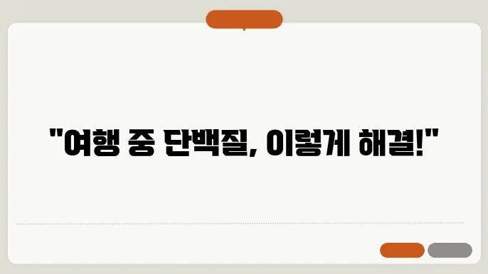 여행 중 단백질 보충 아이템
