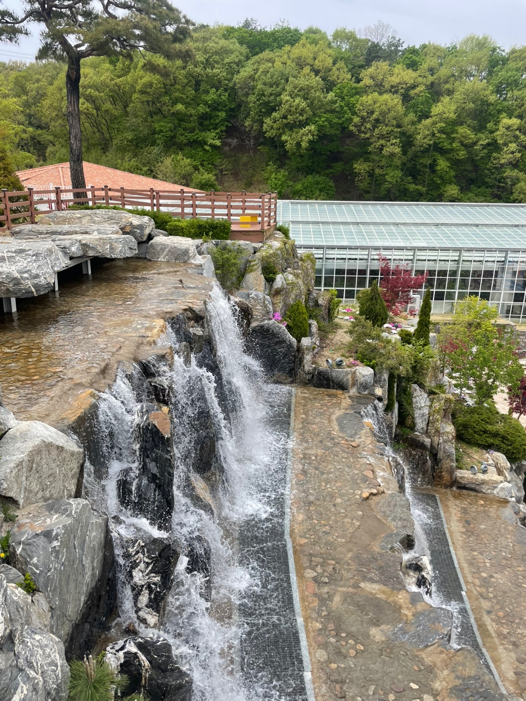 용인 자작나무숲 베툴라 대형 베이커피 카페