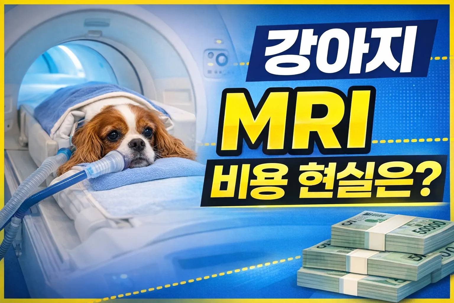 강아지 MRI 비용 현실은? 마취·검사비 포함 총정리