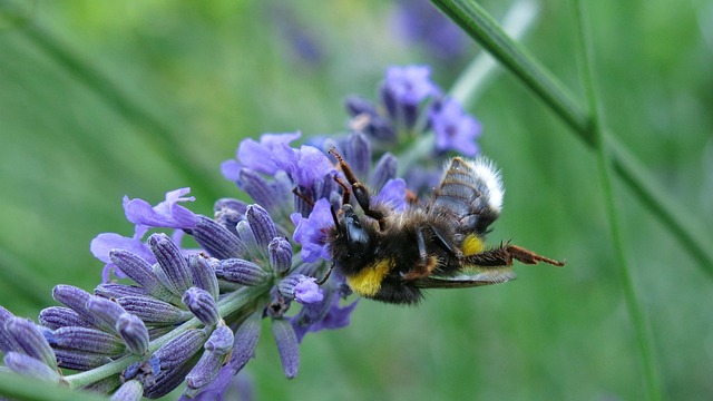음식물처리기 지원금