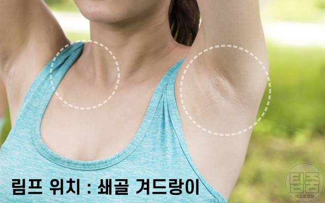얼굴색 밝아지는법 림프마사지 위치 겨드랑이