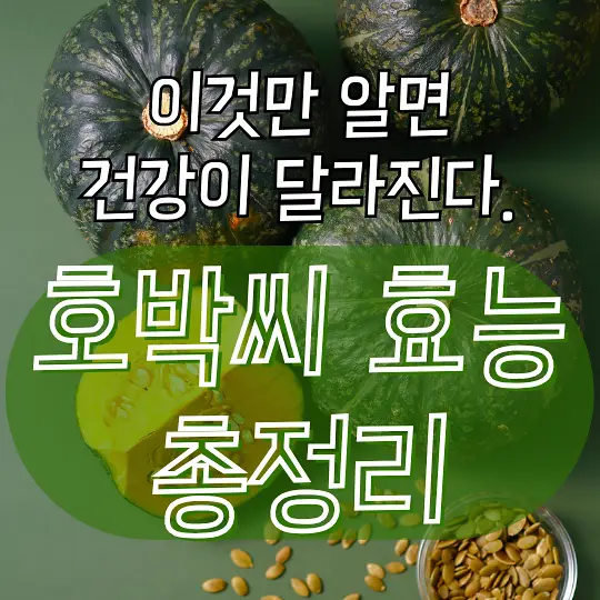 호박씨 효능