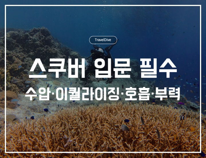스쿠버다이빙 입문 필수: 수압&middot;이퀄라이징&middot;호흡&middot;부력