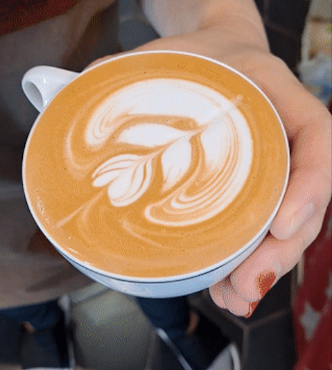 망친 윙튤립 두번째