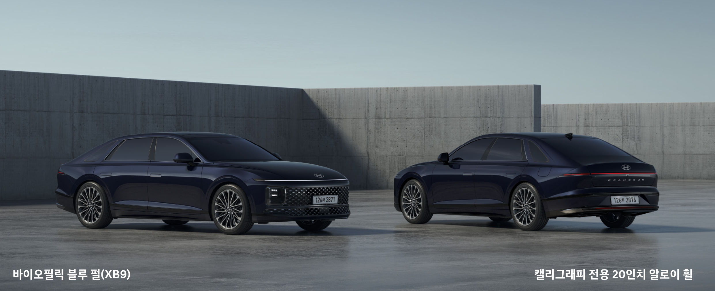 바이오필릭 블루 펄(색상 코드 : XB9)