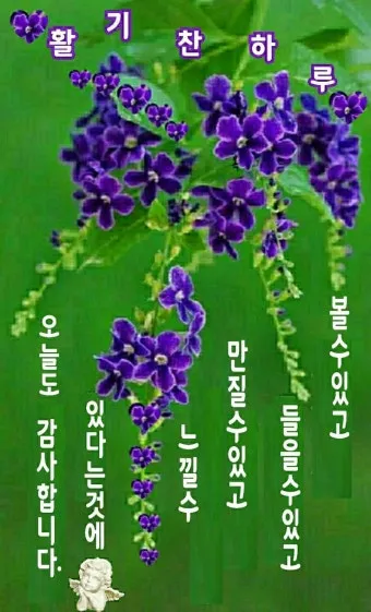 아침 인사로 좋은 글 이쁜글 기분좋은 인사말_2