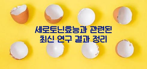 세로토닌효능