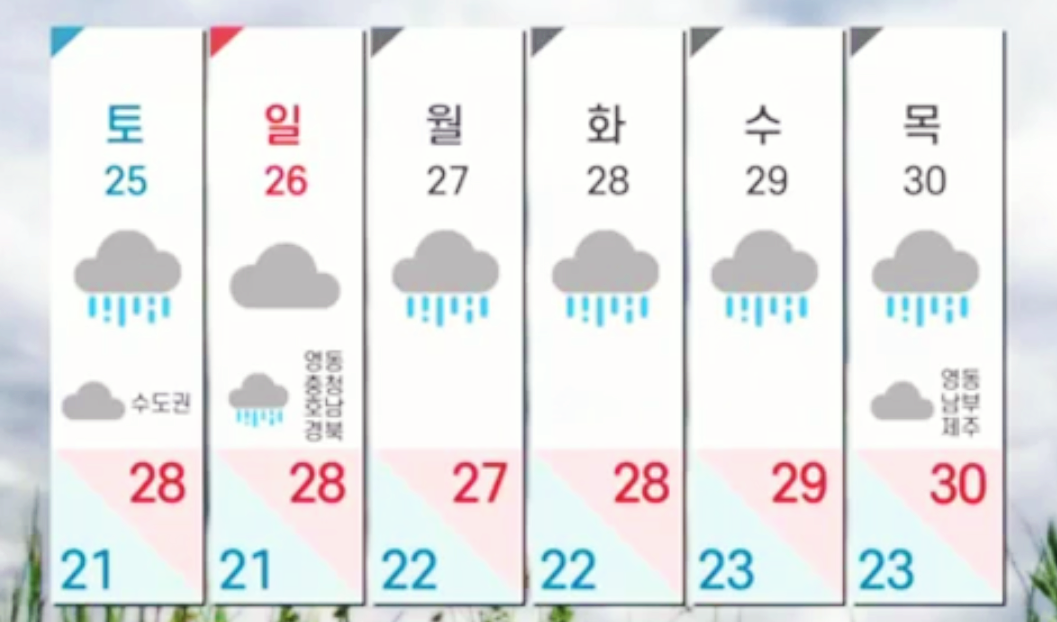 띠별 운세 오늘 날씨 정보