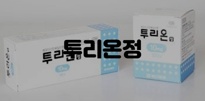 투리온정 효과 부작용 가격 복용법 비염 피부 알레르기약 알러지약