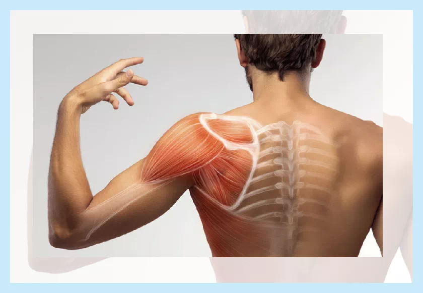 왼쪽 날개죽지 통증