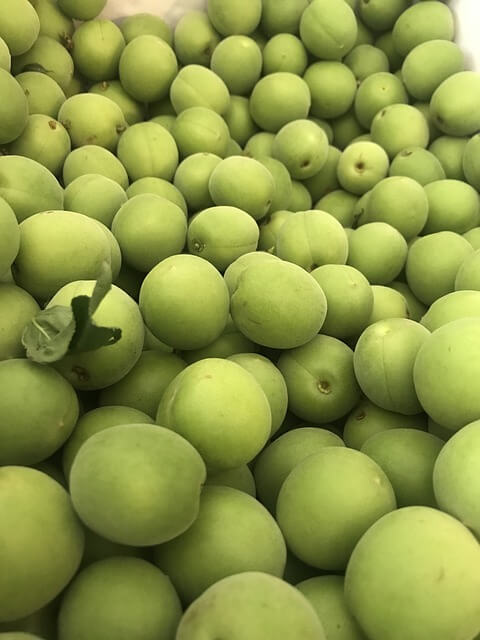 매실