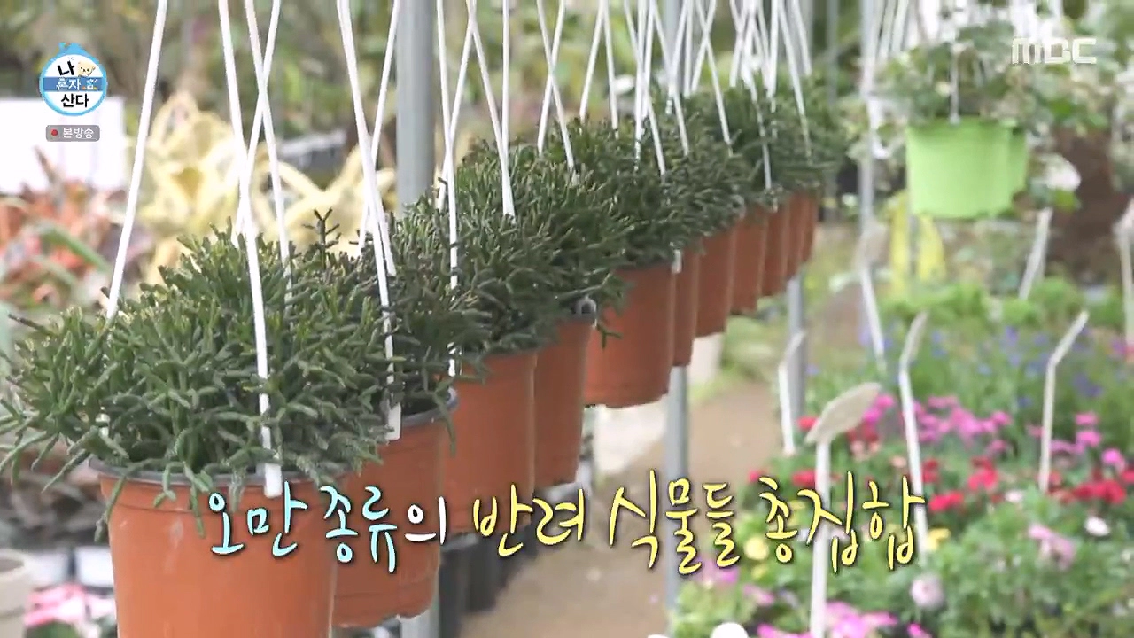 조인폴리아 영업시간 위치 주차