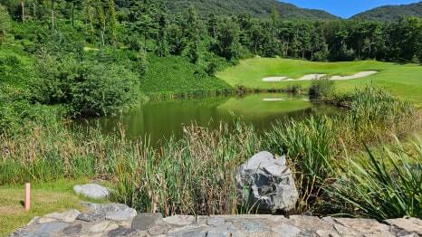 골프장 경험담 충주 세일cc 샷의 정교함이 필요한 골프장 