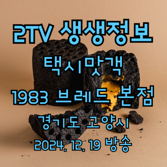 2TV 생생정보 택시맛객 연탄빵 벽돌빵