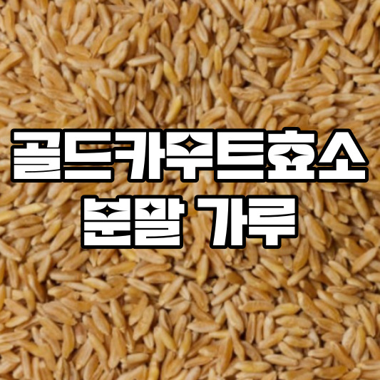골드카무트 효소 분말 가루
