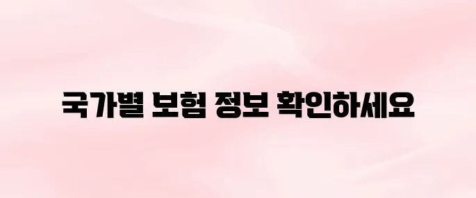 해외 유학생 보험, 나라별 필수 가입 정보 총정리 [2025년 최신]