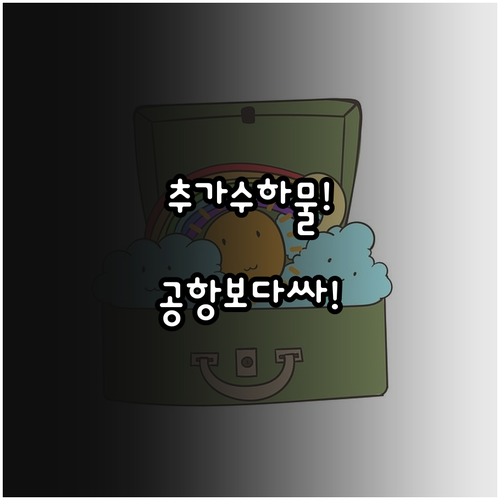 에어 아스타나 추가 수하물, 공항보다..