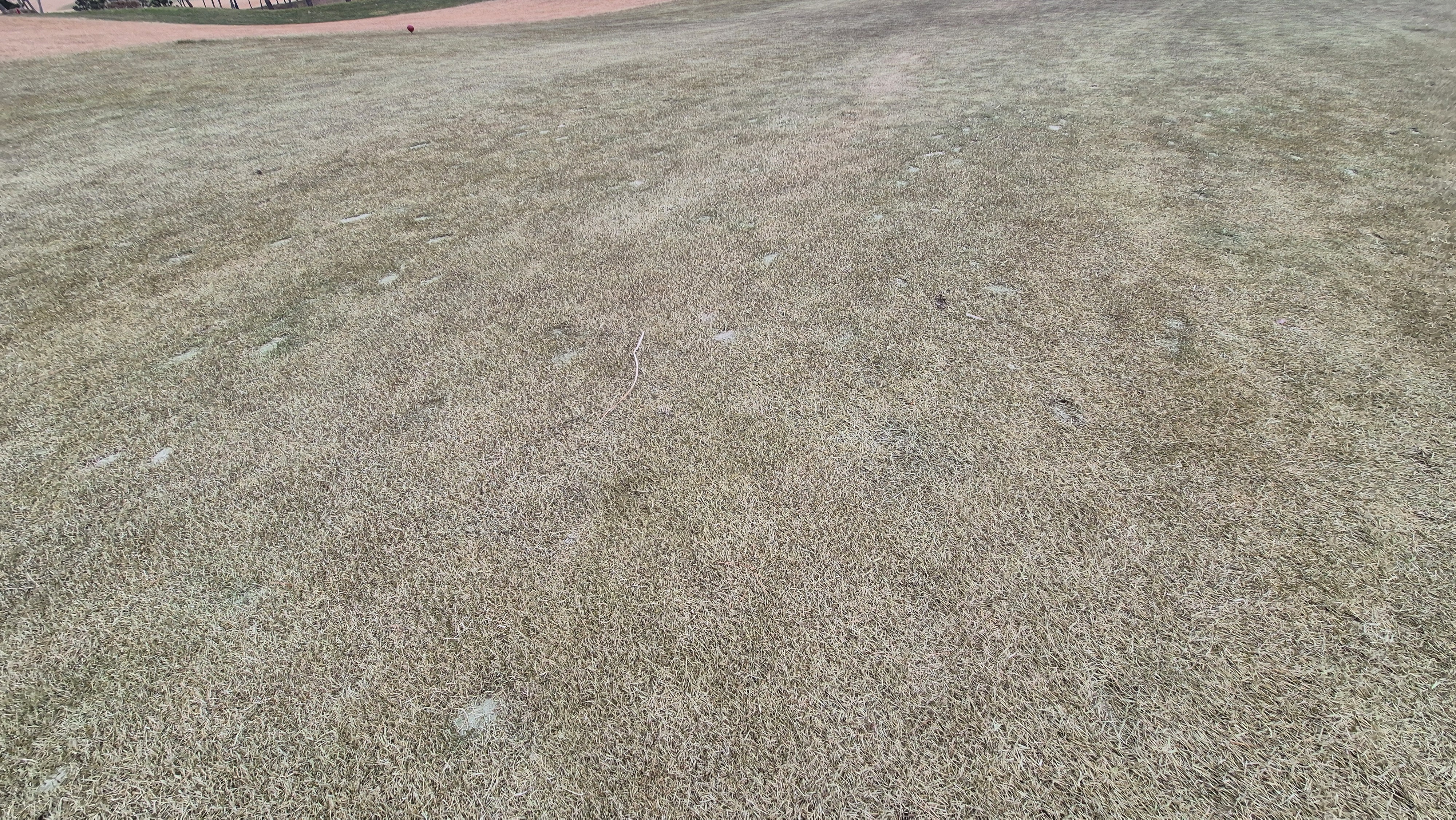 더헤븐cc 사우스-웨스트 코스 관리 상태