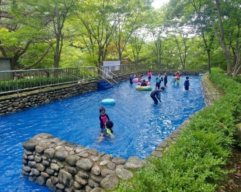 비슬산 자연휴양림