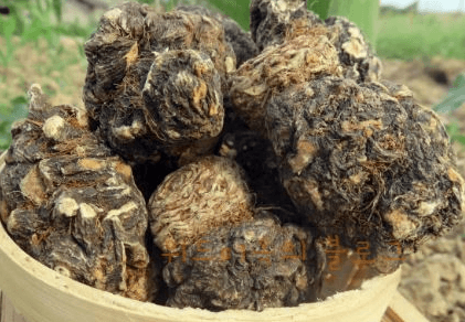 블랙마카의 효능과 부작용