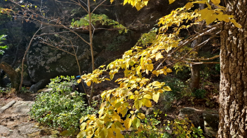 설악산_단풍여행_총정리