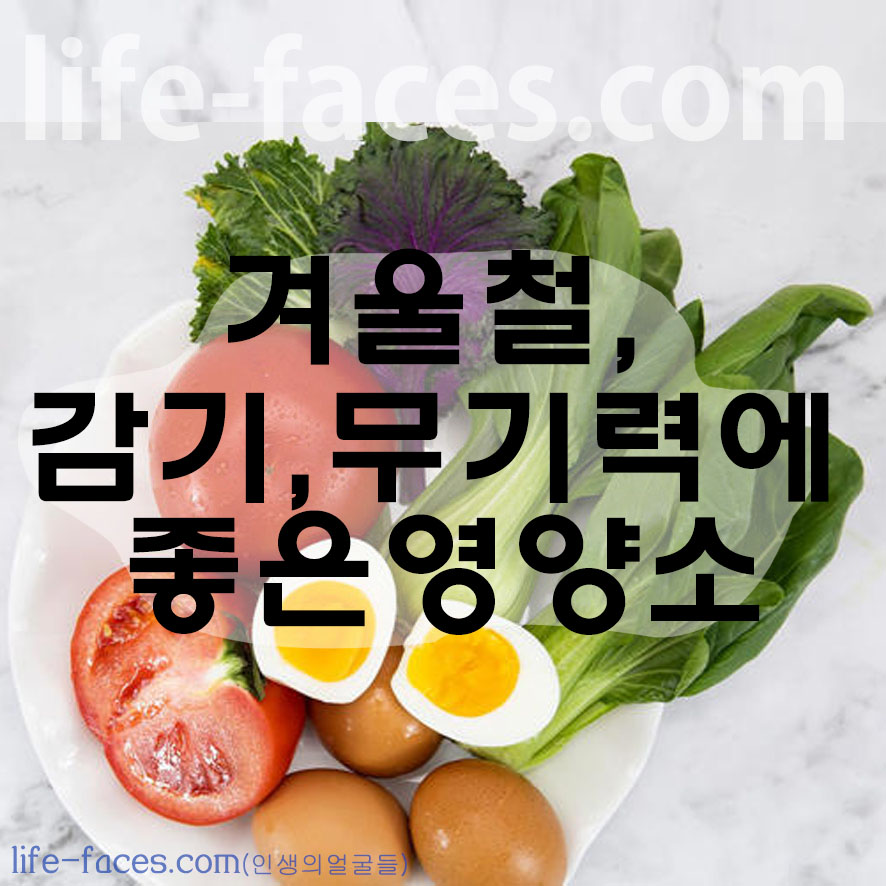 감기와 면연력에 좋은 필수 영양소 소개
