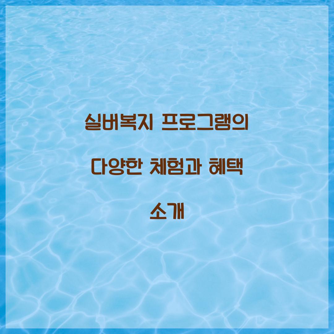 실버복지 프로그램