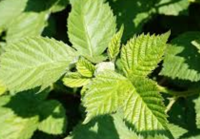 파종 전 준비해야 할 것들 1