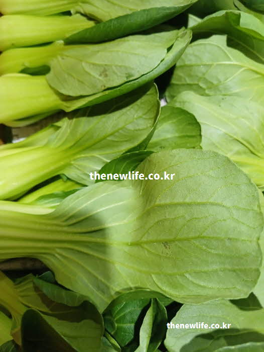 청경채 효능 조리법 올리브유 참기름