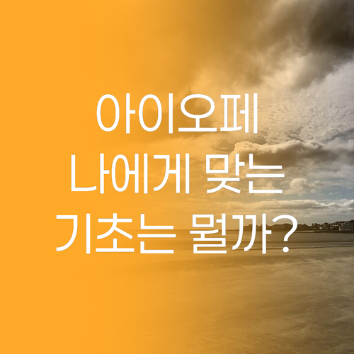 아이오페 기초화장품, 내 피부에 맞는
