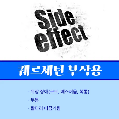 퀘르세틴 부작용