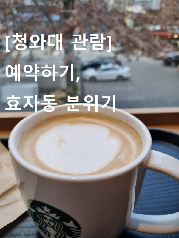 청와대 관람방법