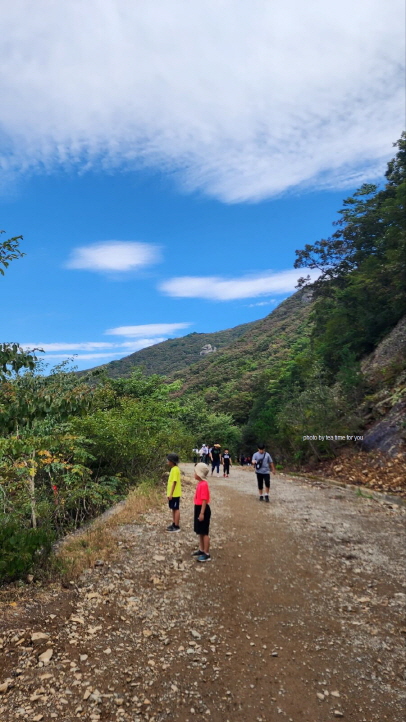 간월재최단코스-억새산행