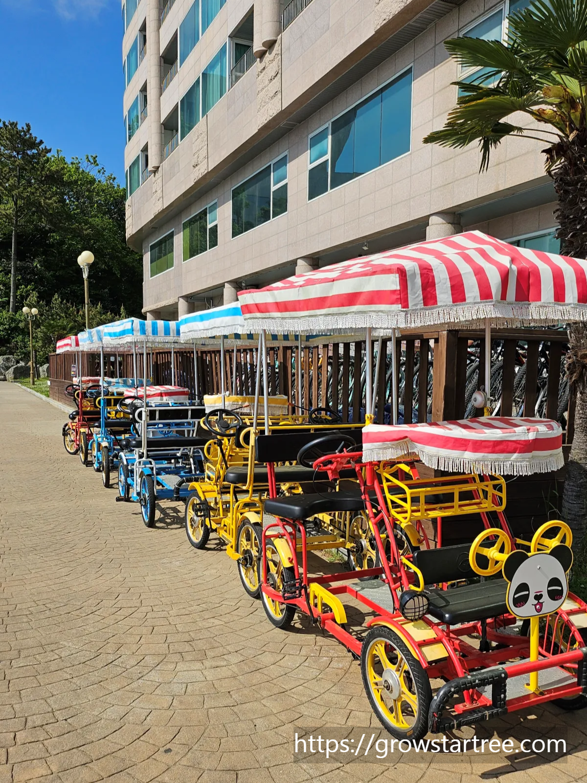 금호통영마리나 자전거 대여