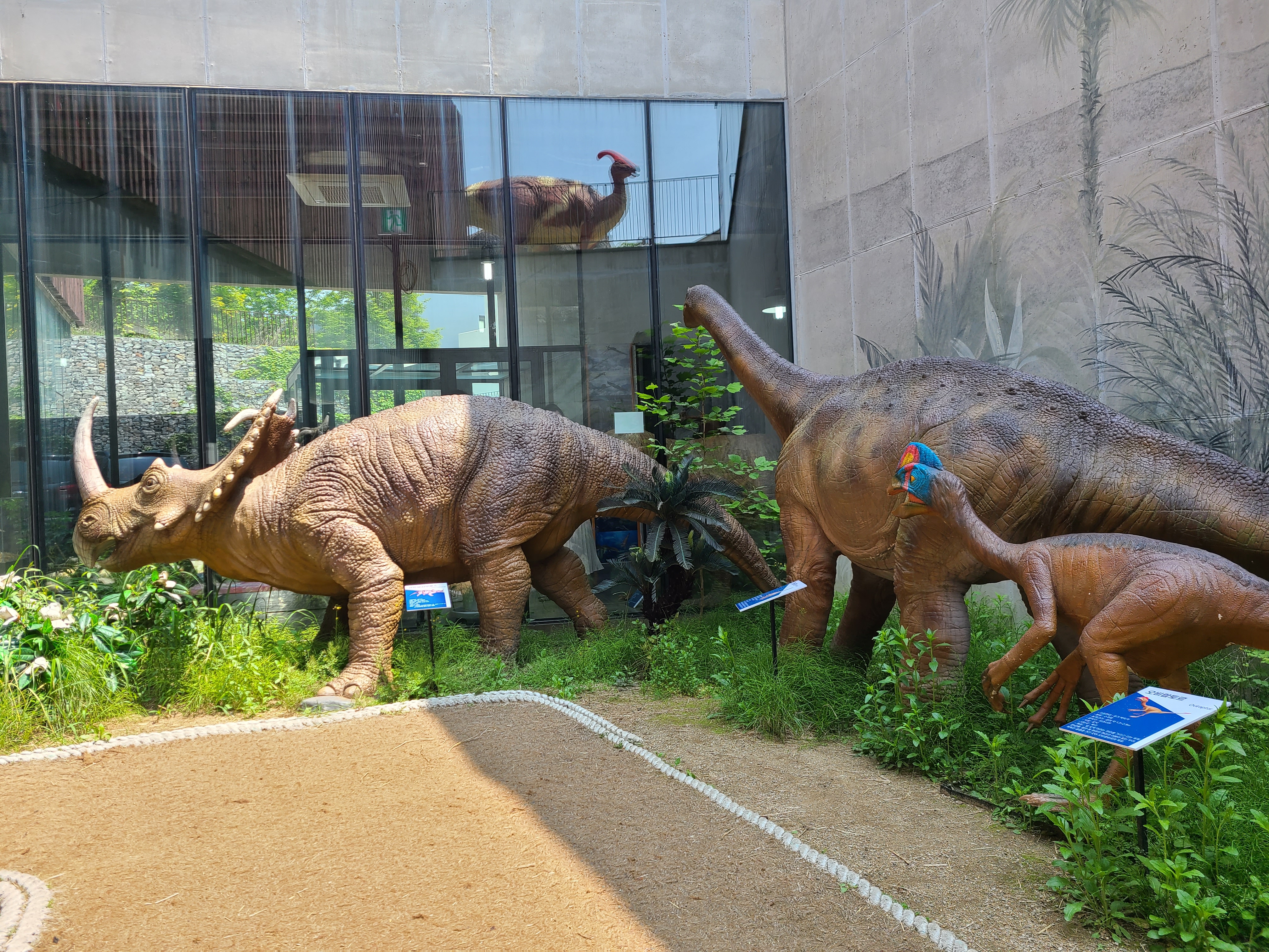 파주 공룡 박물관 1층 공룡 모형
