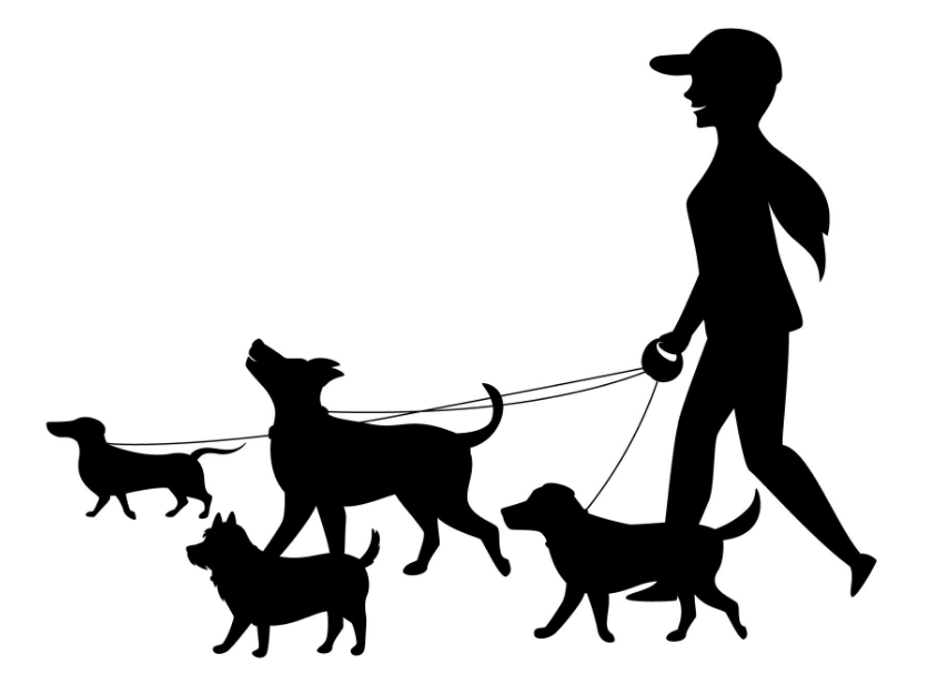 강아지와의 즐거운 산책 이미지